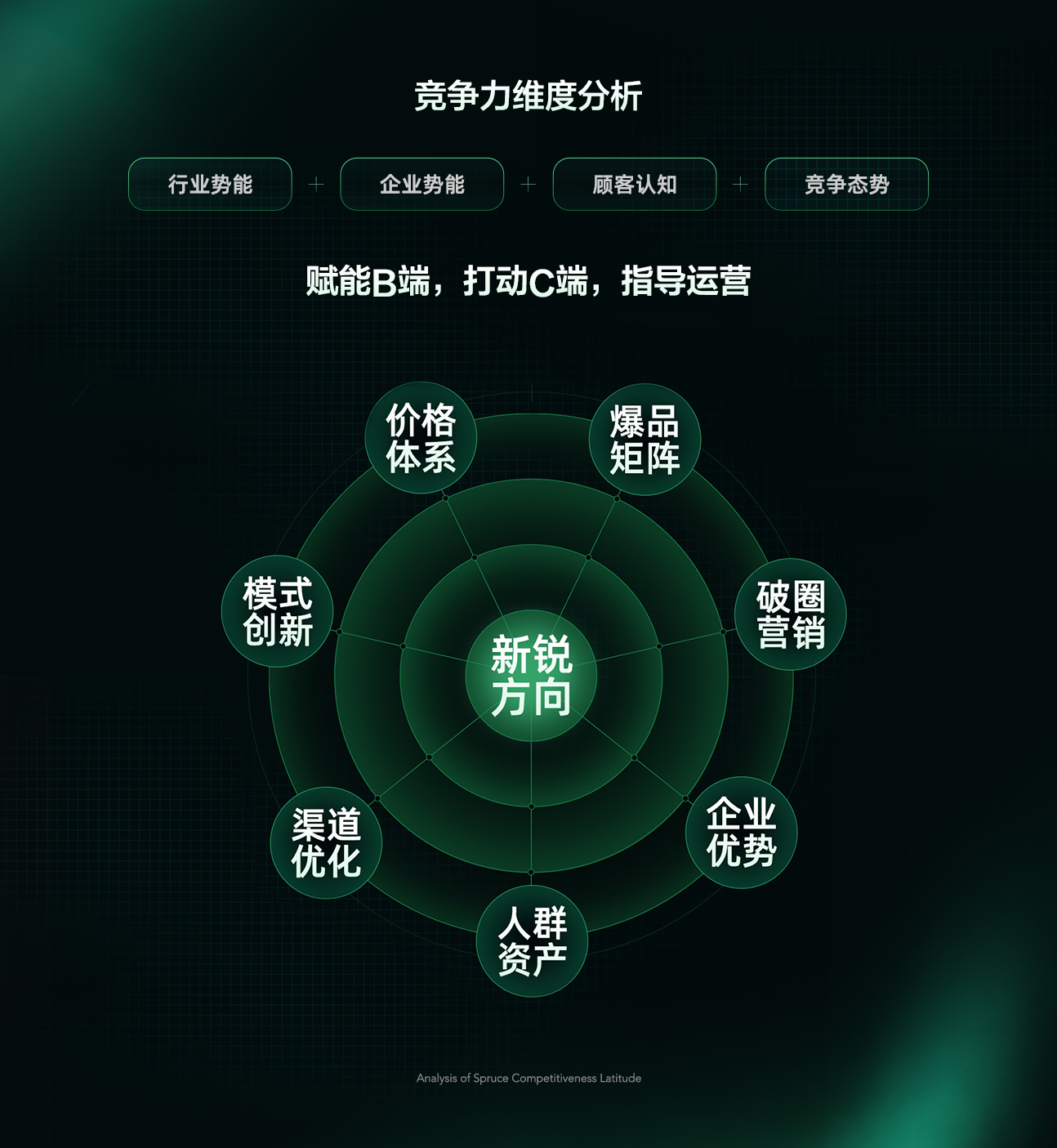 云杉战略创新解法