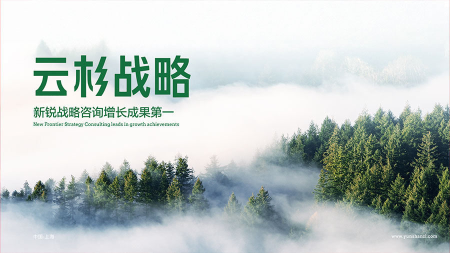 云杉战略，成就标杆企业